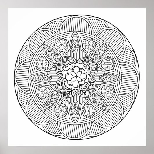 Begonia Flowers Flower Art Mandala Colour Page Poster (Voorkant)