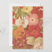 Begonia | George Nicholson (Voorkant)