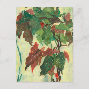Begonia Maculata Home Garden Plant Floral Painting Briefkaart