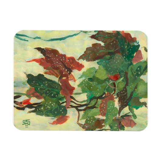 Begonia Maculata Home Garden Plant Floral Painting Magneet (Horizontaal)