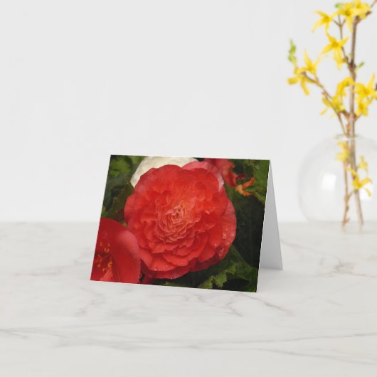 Begonia notecard kaart (Gele Bloem)