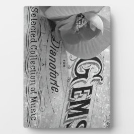 Begonia Pareltjes Pianoforte Fotoplaat