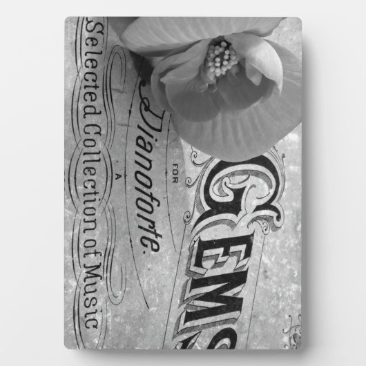 Begonia Pareltjes Pianoforte Fotoplaat (voorkant)