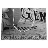 Begonia Pareltjes Pianoforte Groot Cadeauzakje (Voorkant)