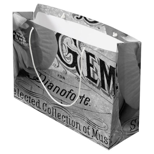 Begonia Pareltjes Pianoforte Groot Cadeauzakje (Achterkant Gekanteld)