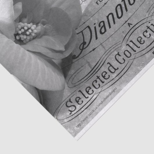 Begonia Pareltjes Pianoforte Tissuepapier (Detail)