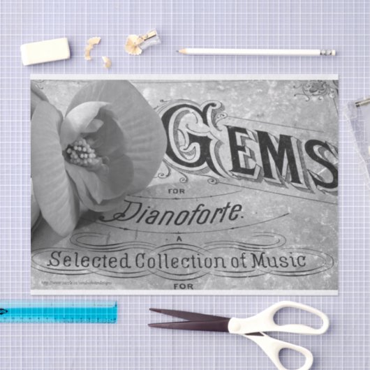 Begonia Pareltjes Pianoforte Tissuepapier (Craft)