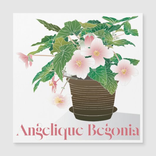 Begonia Platte Magneet (Voorkant)