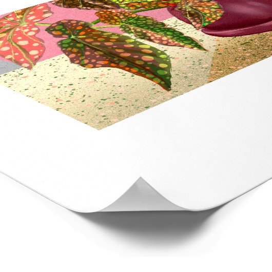 Begonia Print, Poster (mat) (Hoek)