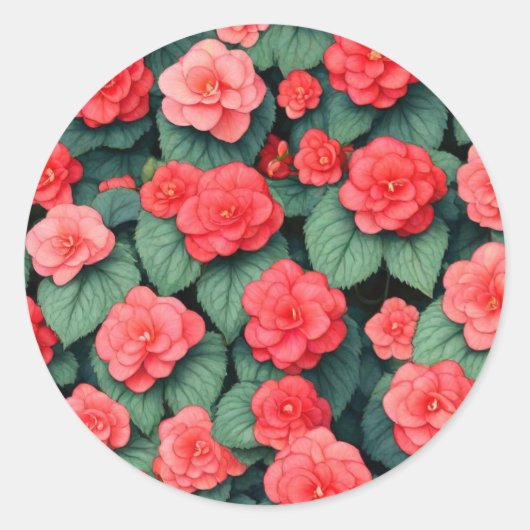 Begonia roze bloemen ronde sticker (Voorkant)