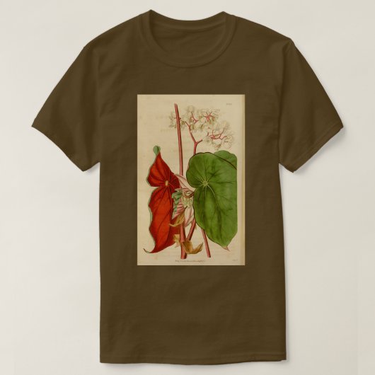 Begonia sanguinea t-shirt (Design voorkant)