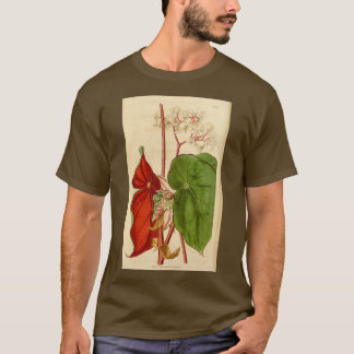 Begonia sanguinea t-shirt