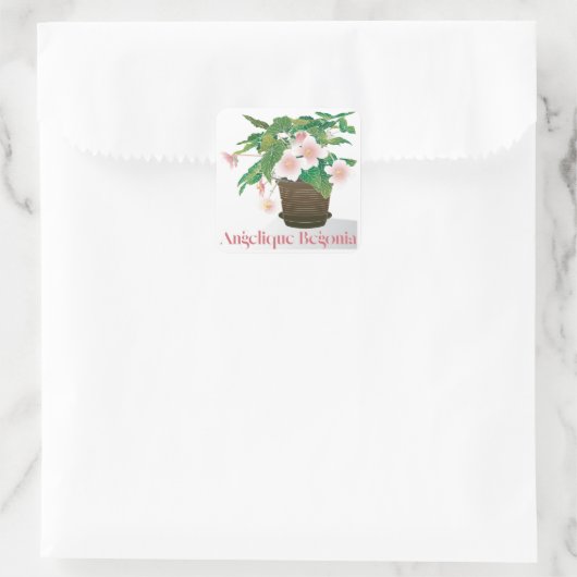 Begonia Stickers (Tas)