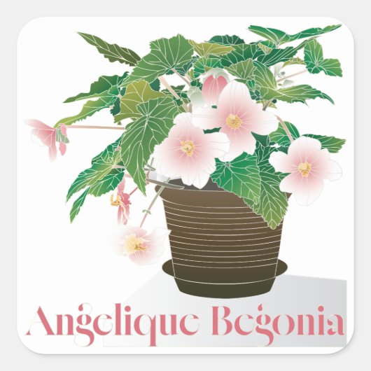 Begonia Stickers (Voorkant)