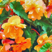 BEGONIA-STROMEN VISITEKAARTJE