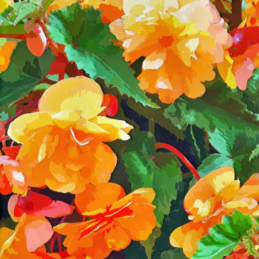 BEGONIA-STROMEN VISITEKAARTJE