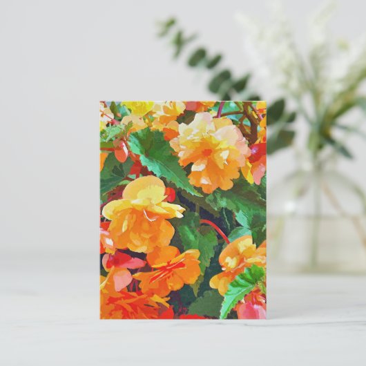 BEGONIAS BRIEFKAART (Staand voorkant)