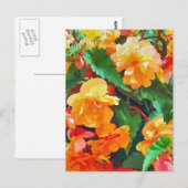 BEGONIAS BRIEFKAART (Voorkant / Achterkant)