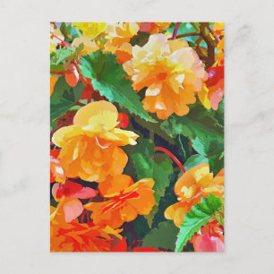 BEGONIAS BRIEFKAART