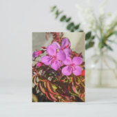 Begonias-briefkaart, aanpassen briefkaart (Staand voorkant)