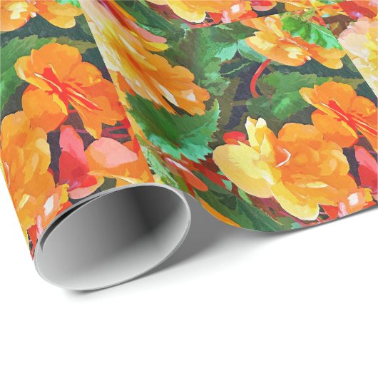 BEGONIAS CADEAUPAPIER (Rol Hoek)