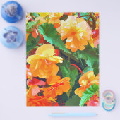 BEGONIAS FLYER (Enkel)