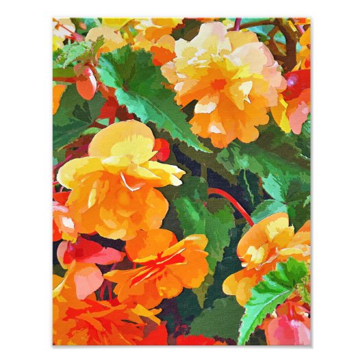 BEGONIAS FOTO AFDRUK (Voorkant)