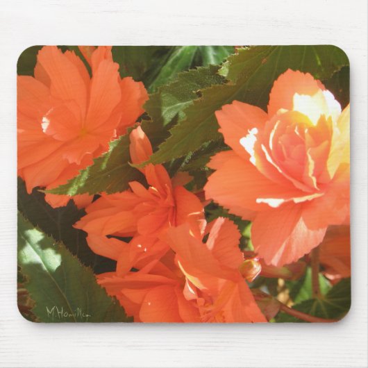 Begonias Foto Mousepad Muismat (Voorkant)