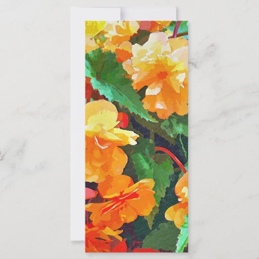 BEGONIAS-KAART (Voorkant)