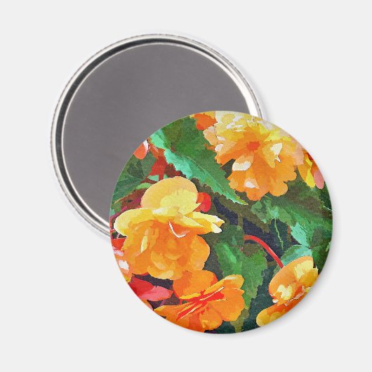 BEGONIAS MAGNEET (Voorkant / Achterkant)