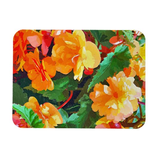 BEGONIAS MAGNEET (Horizontaal)