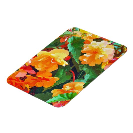 BEGONIAS MAGNEET (Linkerzijde)