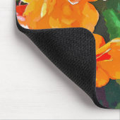 BEGONIAS MUISMAT (Hoek)