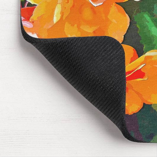 BEGONIAS MUISMAT (Hoek)