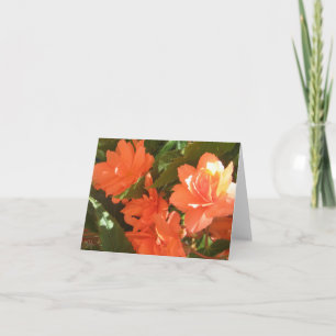 Begonia's Note Cards Kaart