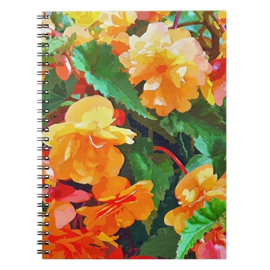 BEGONIAS NOTITIEBOEK (Voorkant)
