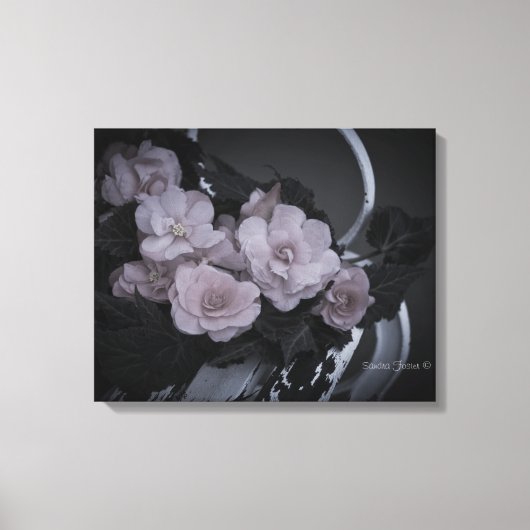 Begonias op het galerijcanvas van de tuinarchitect canvas afdruk (Voorkant)