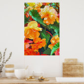 BEGONIAS POSTER (Keuken)