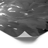 Begonias Poster (Hoek)