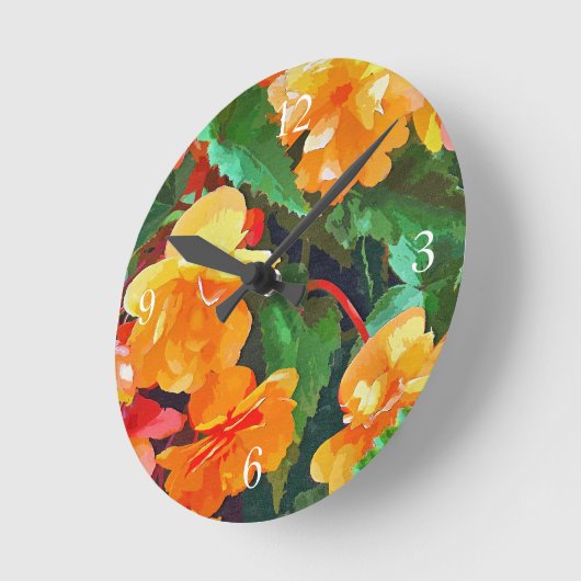 BEGONIAS RONDE KLOK (Hoek)