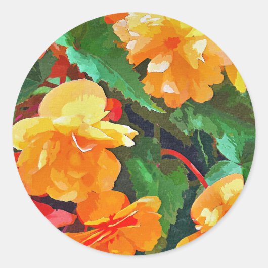 BEGONIAS RONDE STICKER (Voorkant)