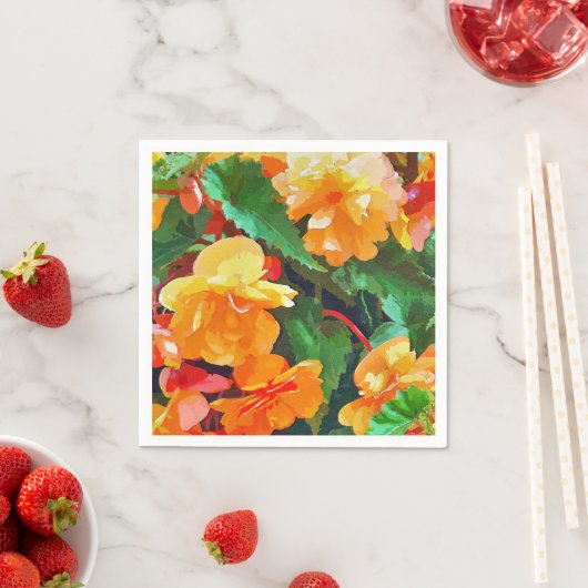 BEGONIAS SERVET (Insitu)