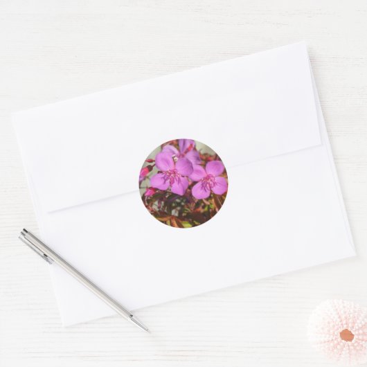 Begonias stickers (Envelop)