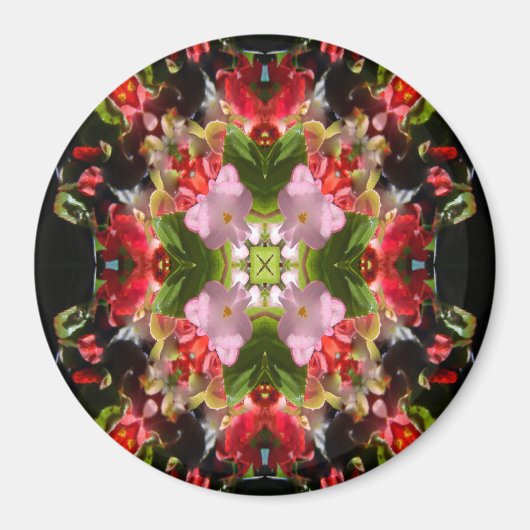 Begonia's verliefd... magneet (Voorkant)
