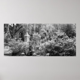 Begraafplaats, Savannah Ga, MD Fotografie Poster