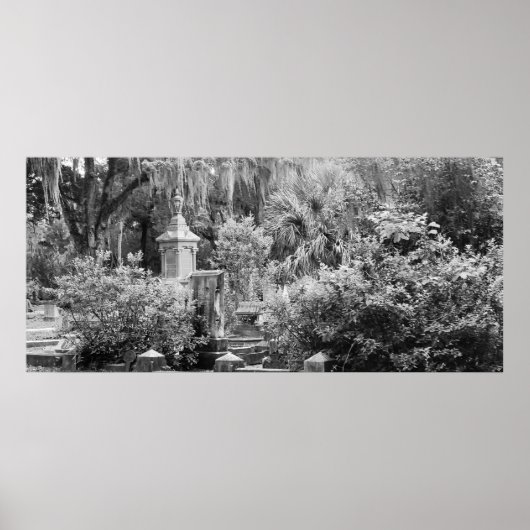 Begraafplaats, Savannah Ga, MD Fotografie Poster (Voorkant)