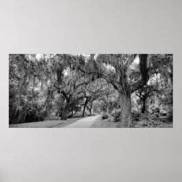 Begraafplaats, Savannah Ga, MD Fotografie Poster