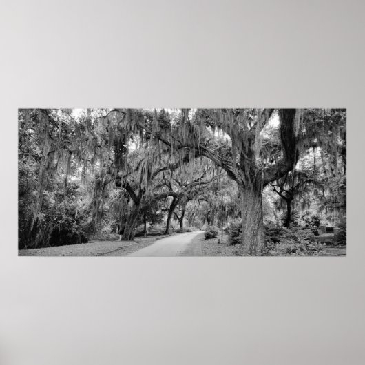 Begraafplaats, Savannah Ga, MD Fotografie Poster (Voorkant)