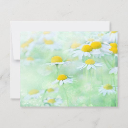 Begrafenis bedankje Opmerking | Daisy Floral Sympa Bedankkaart (Achterkant)