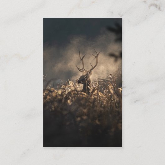 Begrafenis Herfst Mist Gebed Sympathie Kaarten Visitekaartje (Voorkant)